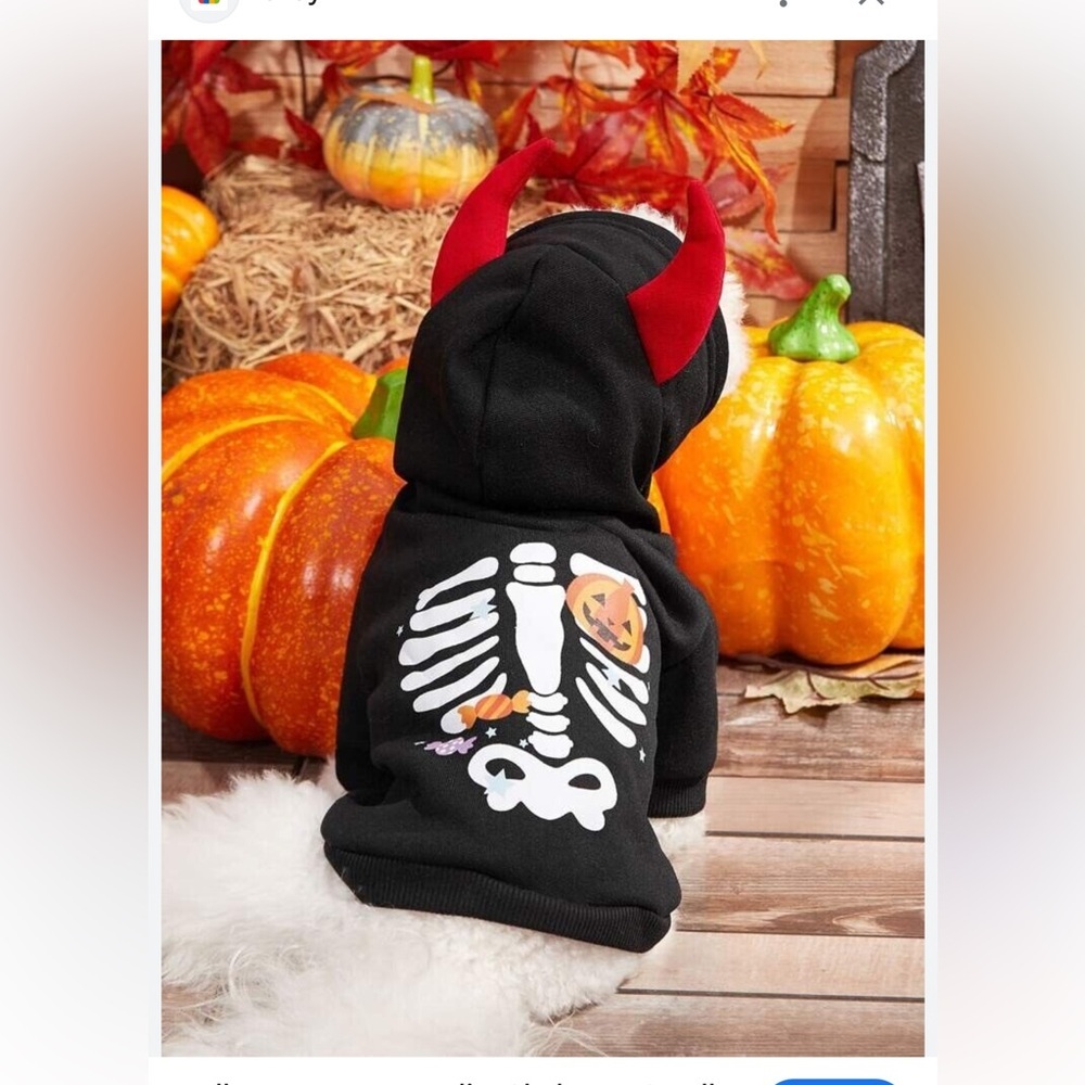 DOG CLOTHING ⭐️ for small dogs